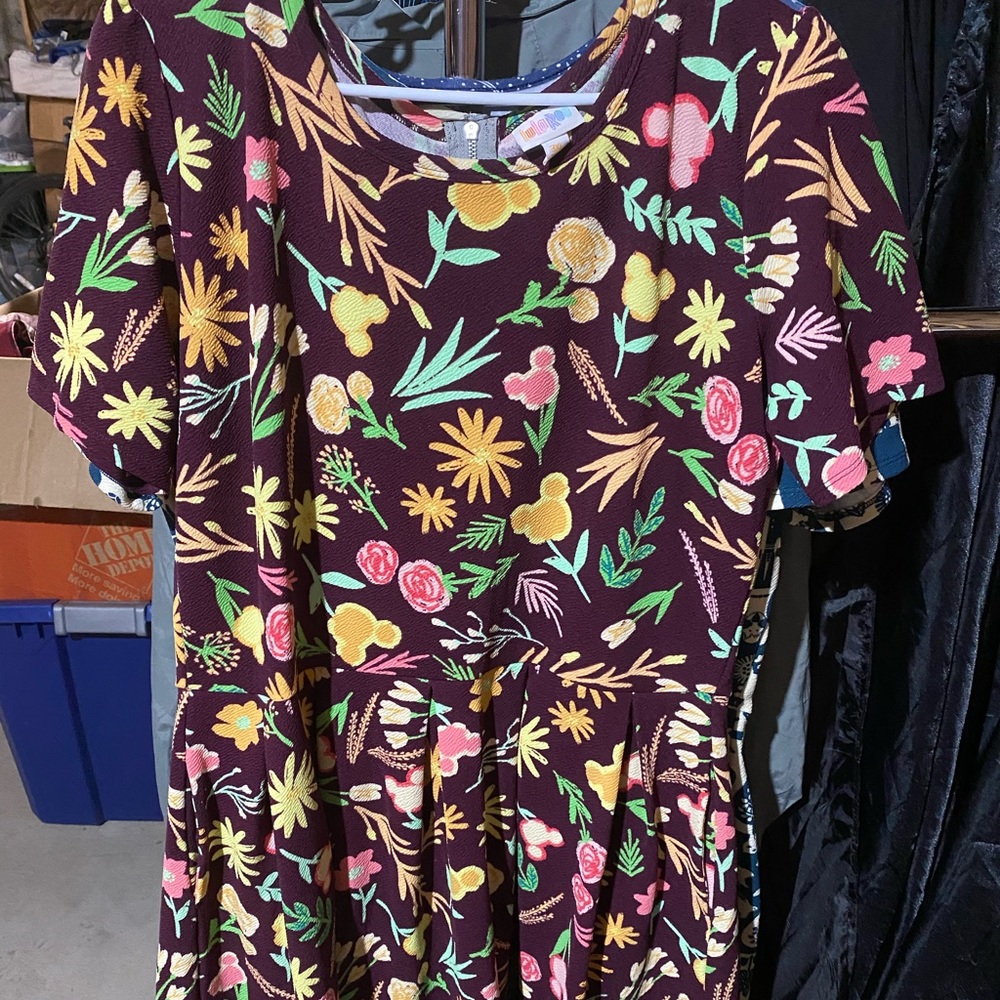 LuLaRoe Disney Amelia dress